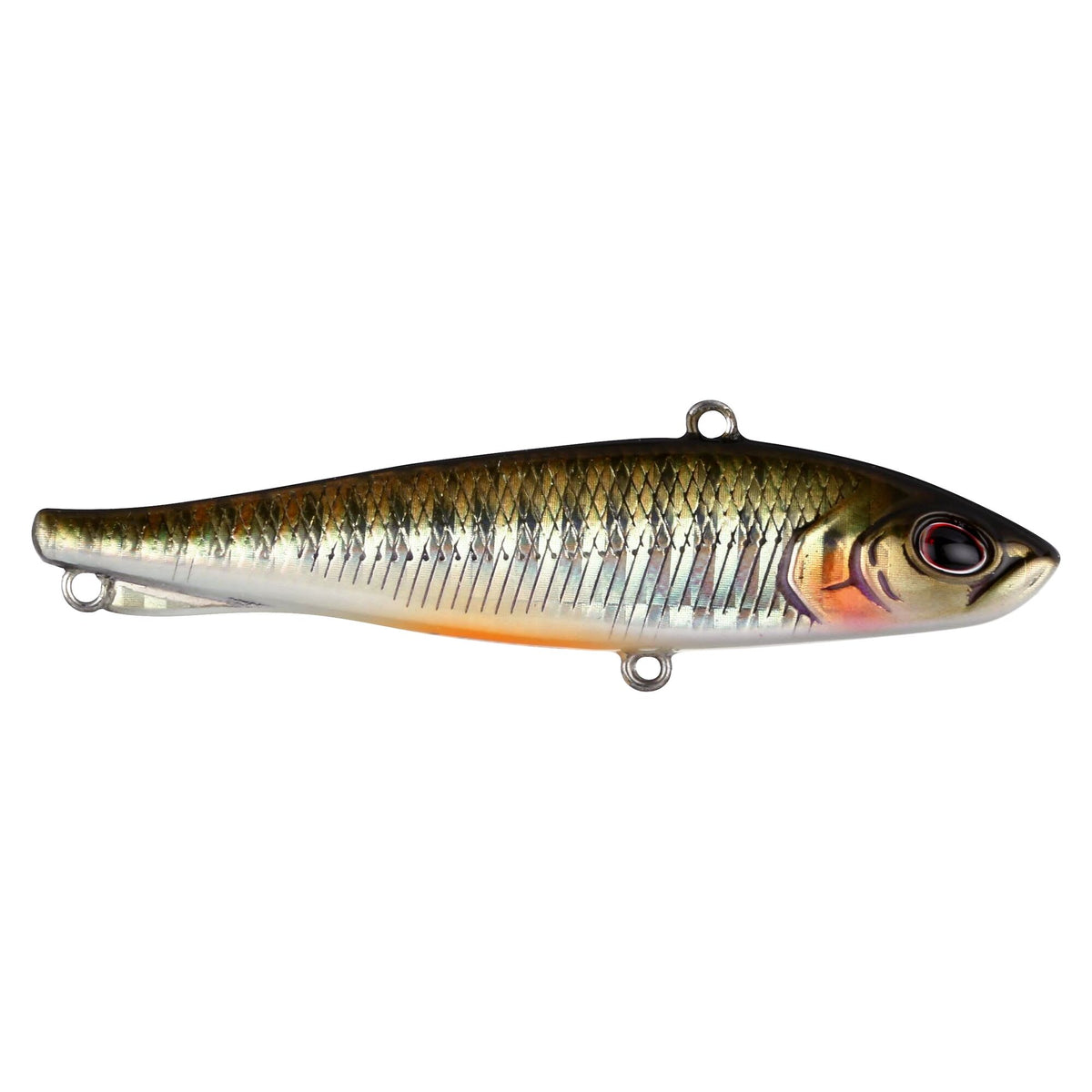 Berkley Ripfish