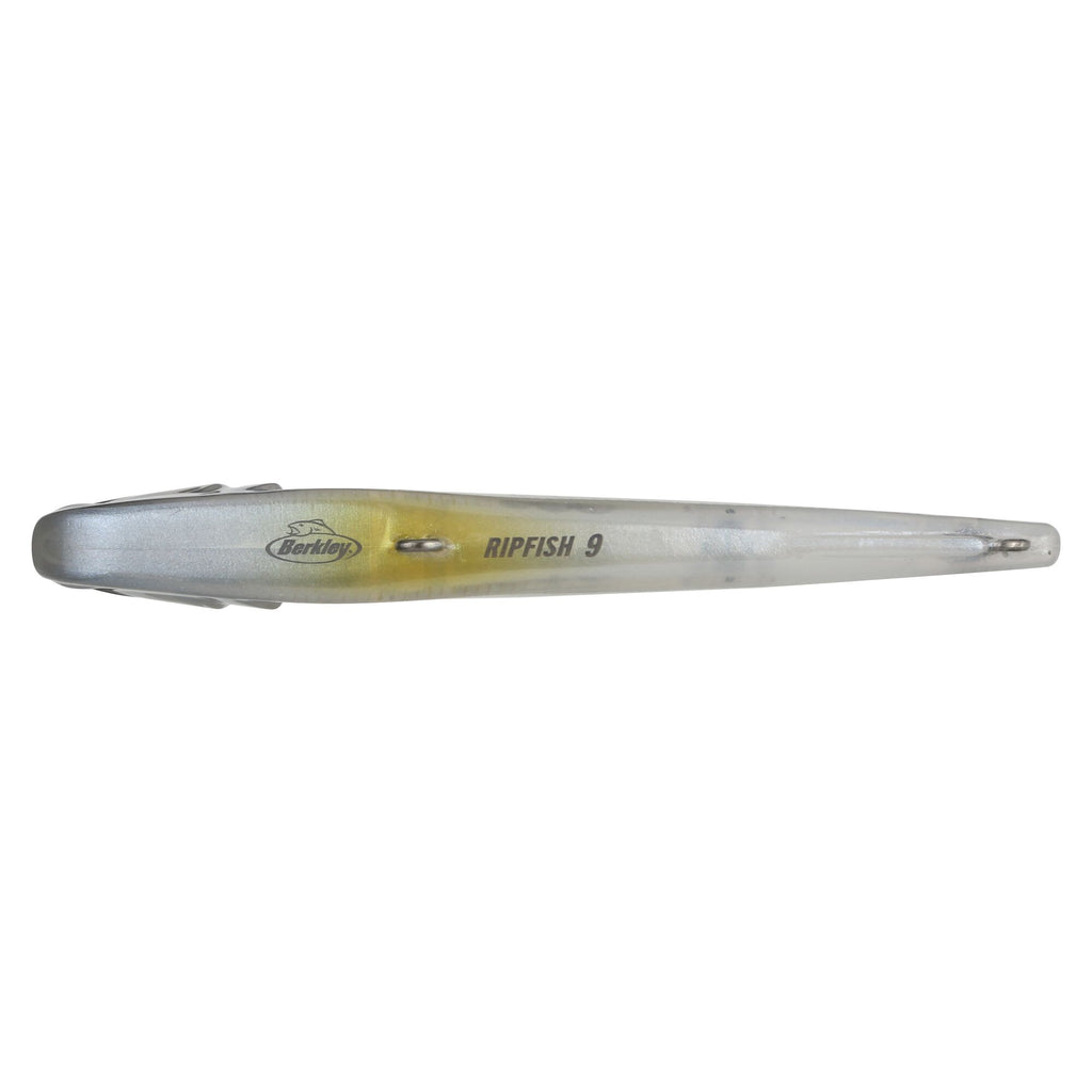 Berkley Ripfish