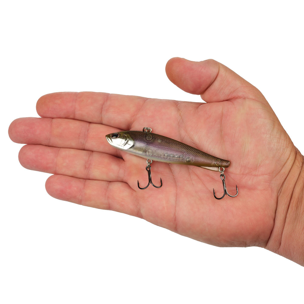 Berkley Ripfish