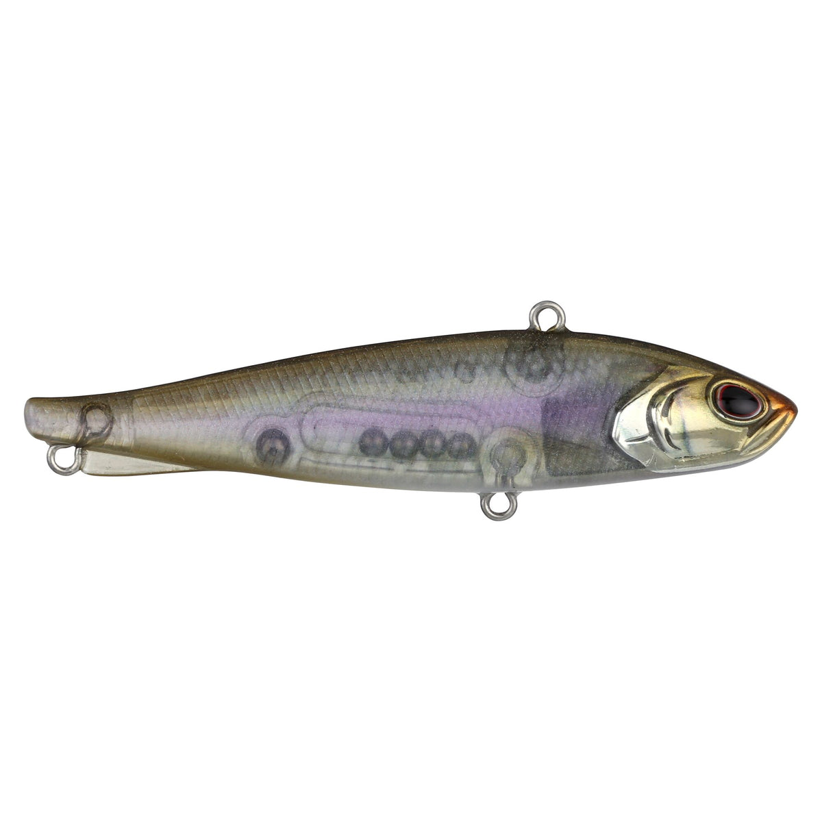 Berkley Ripfish