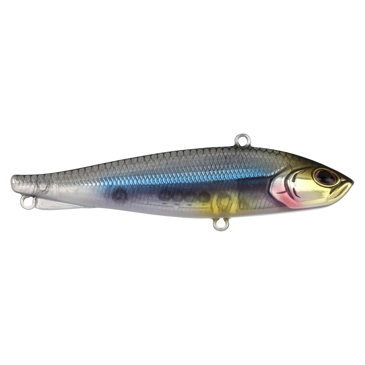 Berkley Ripfish
