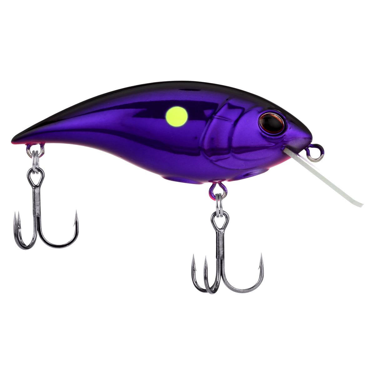 Berkley Shallow Money Badger