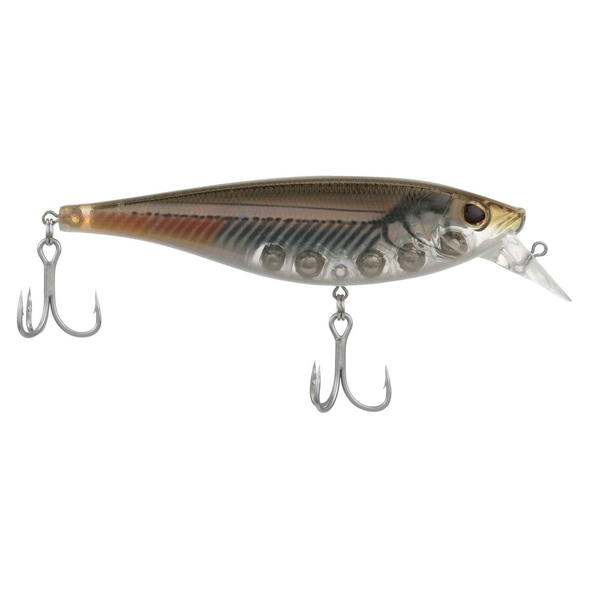 Berkley Juke Saltwater