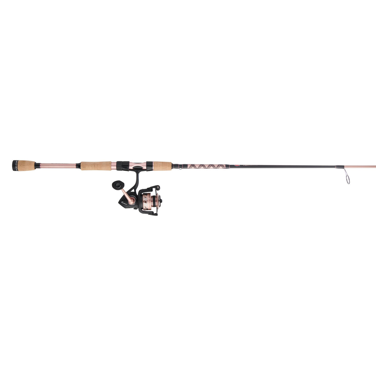 PENN Passion® II Spinning Combo