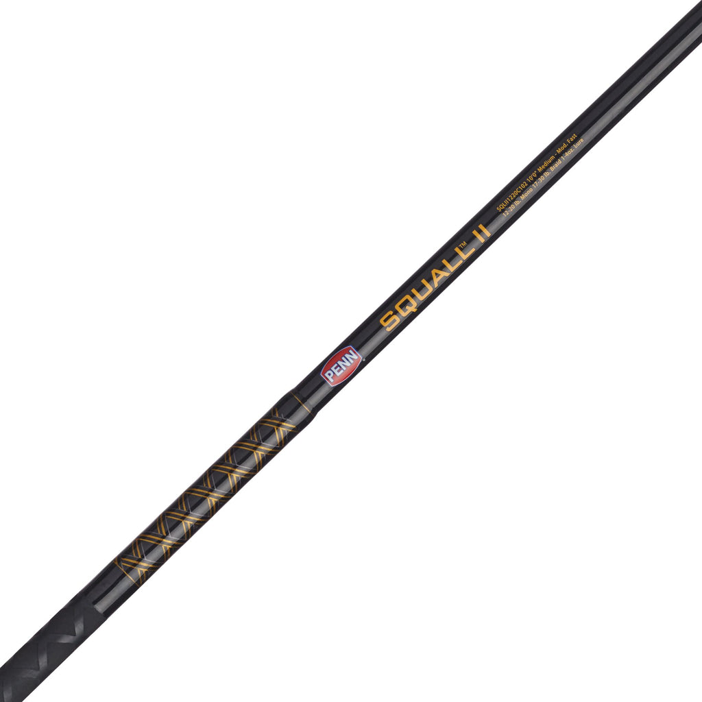 PENN Squall® II Star Drag Conventional Combo