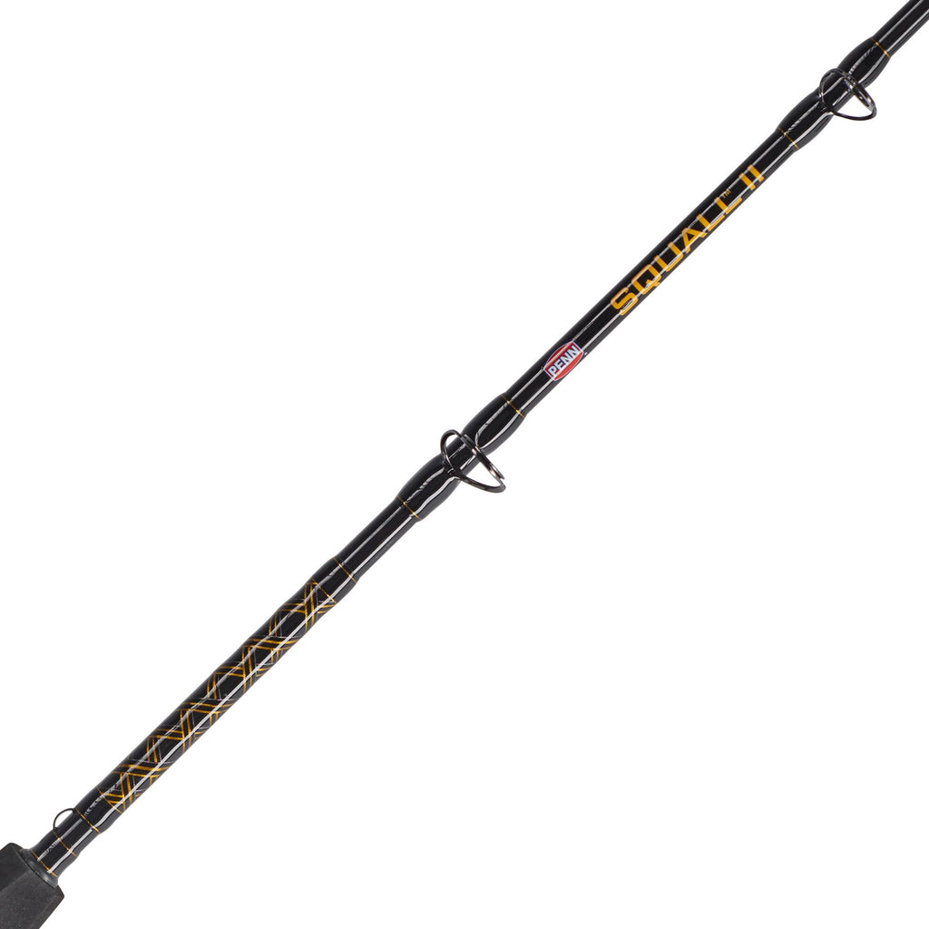 PENN Squall® II Star Drag Conventional Combo