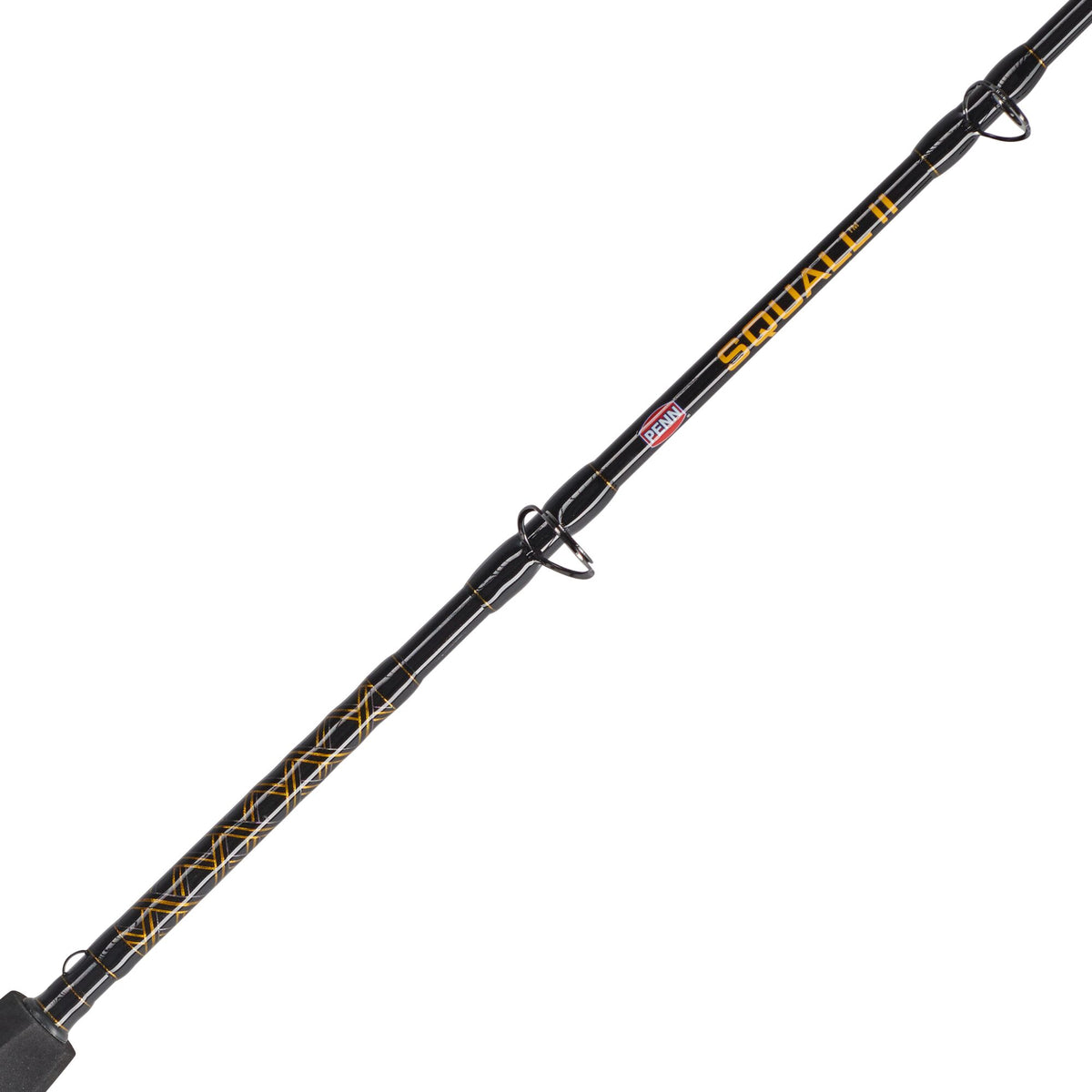 PENN Squall® II Star Drag Conventional Combo